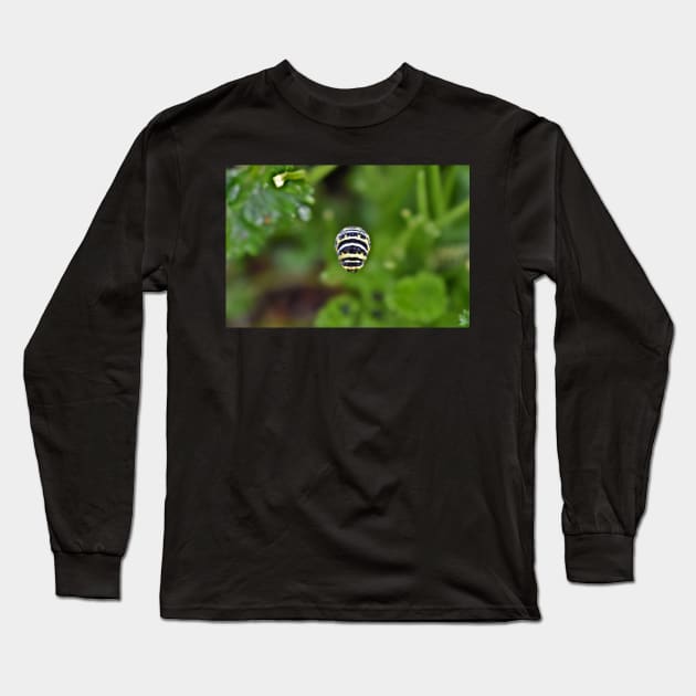 Swallowtail Caterpillar Long Sleeve T-Shirt by A Thousand Words Photography